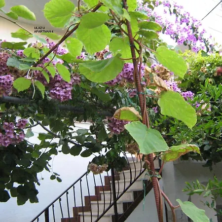 Okrug Gornji 11231a Appartement