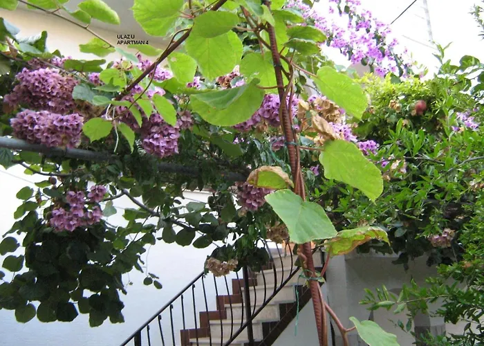 Okrug Gornji 11231a Appartement